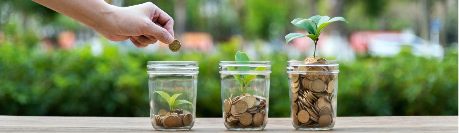 Coins in three jars with plants growing as jars fill up